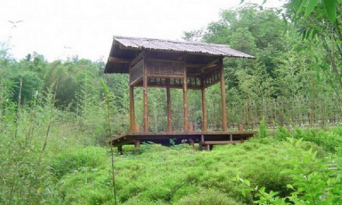 日月潭圖片