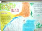 軍訓手抄報：我的7天軍訓生活
