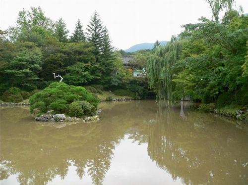 韓國慶州佛國寺圖片