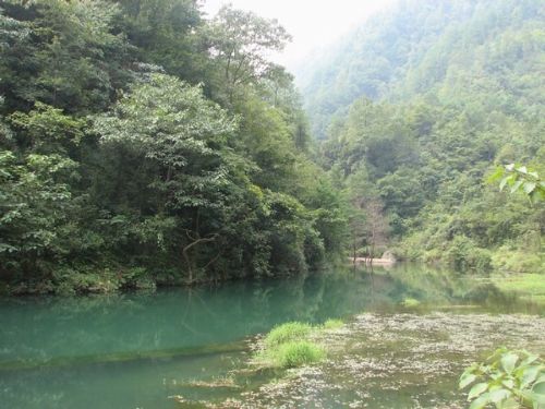 初探長溝箐圖片
