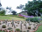 廈門萬石植物園