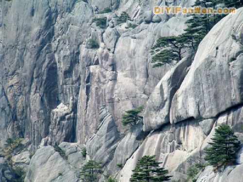 黃山景區圖片