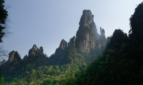 張家界砂岩峰林圖片