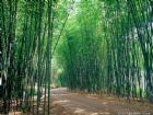 重渡溝自然風景區