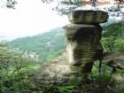 縉雲山風景