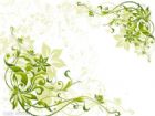 手抄報花邊：接受不完美