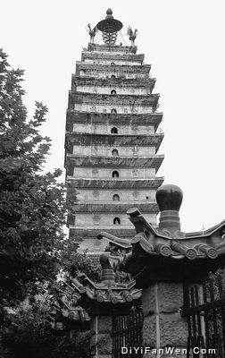 東西寺塔圖片