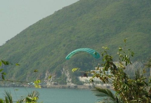 大東海圖片