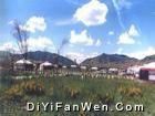 美麗的格桑花草原