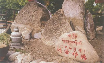 公眾村生態園圖片