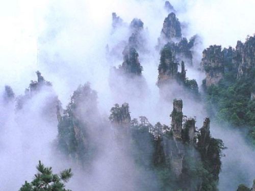 天子山風情圖片