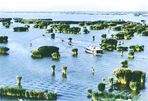 沙湖圖片