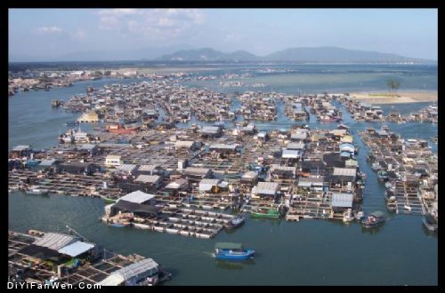 海南猴島圖片
