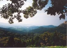 孔雀山景區圖片
