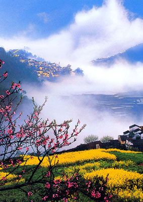 桃花源風景圖片