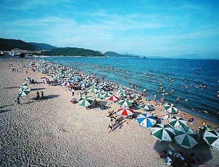 小梅沙海濱旅遊中心圖片