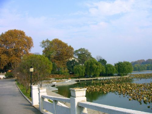 玄武湖公園圖片