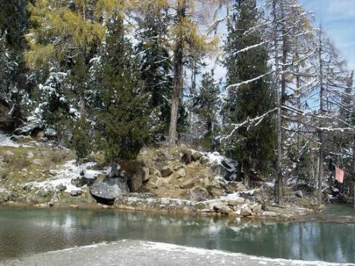 四川阿壩畢棚溝初雪圖片