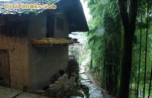 湖北魚木寨圖片