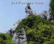 三衢石林圖片