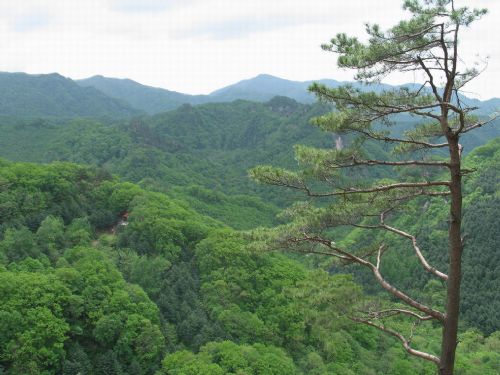 天華山圖片