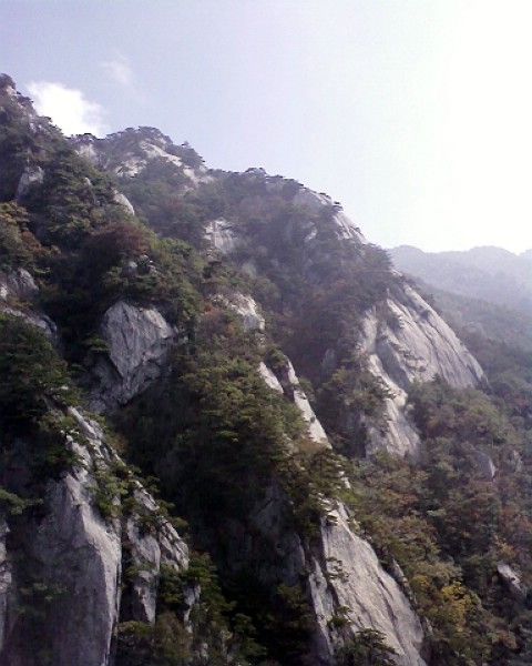 湖北薄刀峰圖片