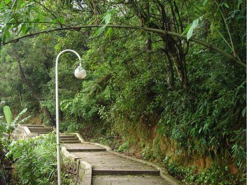 廣東黃岐山風光圖片