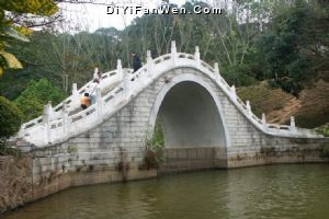 仙湖植物園圖片