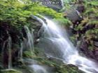 大奇山國家森林公園