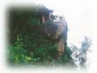 彭祖山（仙女山）