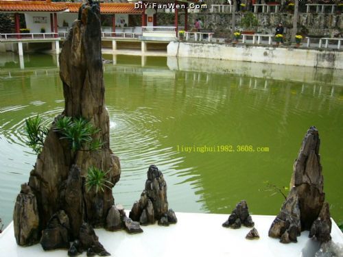 仙湖植物園圖片