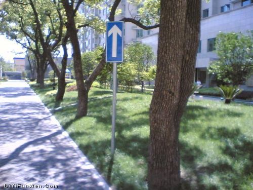 東輝公園圖片