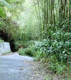 馬那邦山圖片