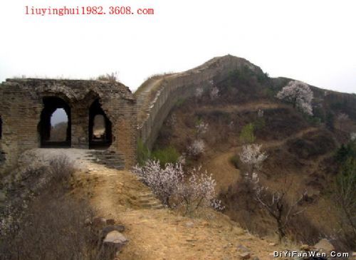 廣西蟠龍山圖片