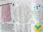 我愛文學的手抄報：達不到文學彼岸