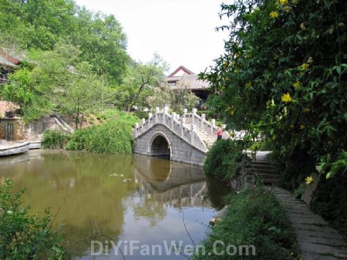 龍泉公園圖片