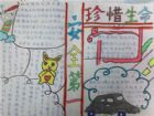 食品安全手抄報：用法律守護食品安全