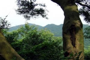 廣州白雲山圖片