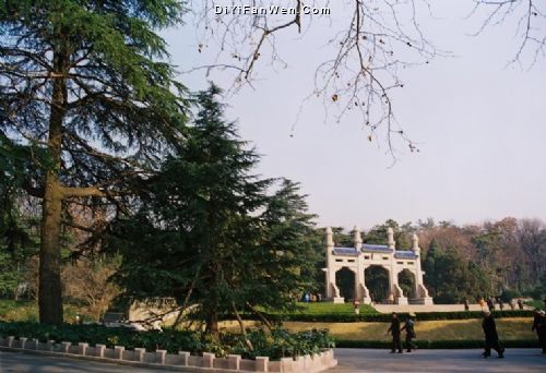 中山陵風景區圖片