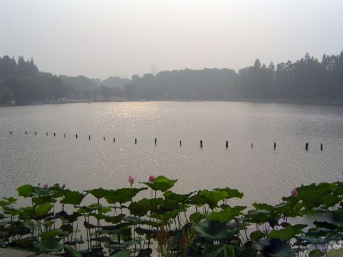 湖北東湖圖片