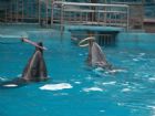 湖南長沙動物園