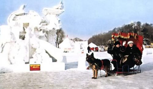 冰雪大世界圖片