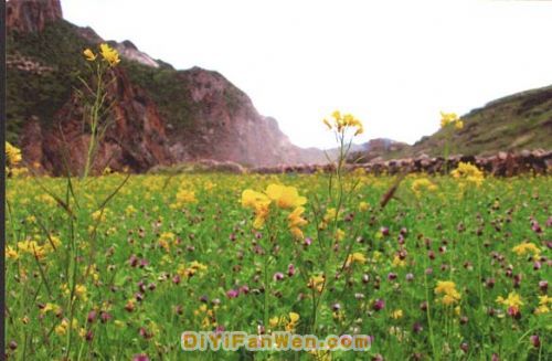 長青沙島圖片