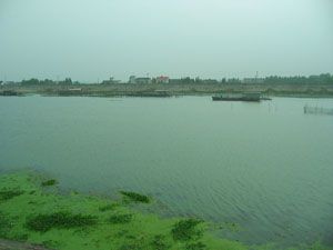 南京固城湖圖片