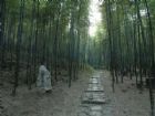 南山旅遊景區