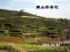 山景