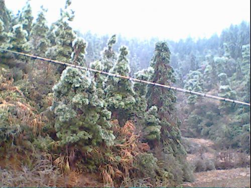 滸坑雪景圖片