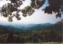 華山森林公園圖片