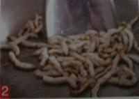 長沙小炒肉-湘菜(圖文)