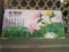 重陽節手抄報：重陽節活動宣傳標語